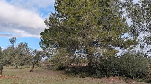 Photo 5 of Country house for sale in La Miliana, Ulldecona, Tarragona