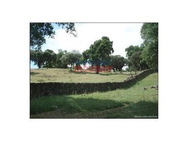 Casa rústica en venda a Estación Arroyo Malpartida