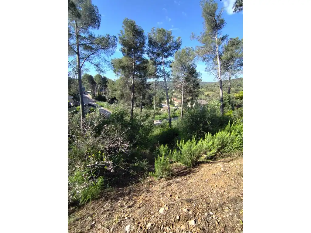 Terreno residencial en venta en Calle Pics D'Europa (Can Mata)