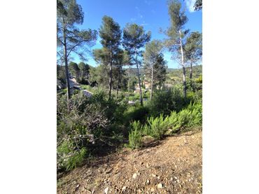 Terreno residenziale in vendita a Calle Pics D'Europa (Can Mata)