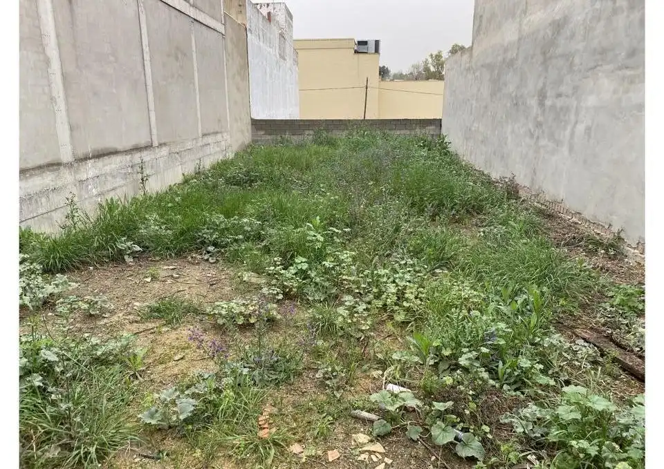 Lands and plots for sale in Coria del Río, imagen 2