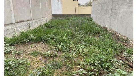 Solar en cantalobos, imatge 2
