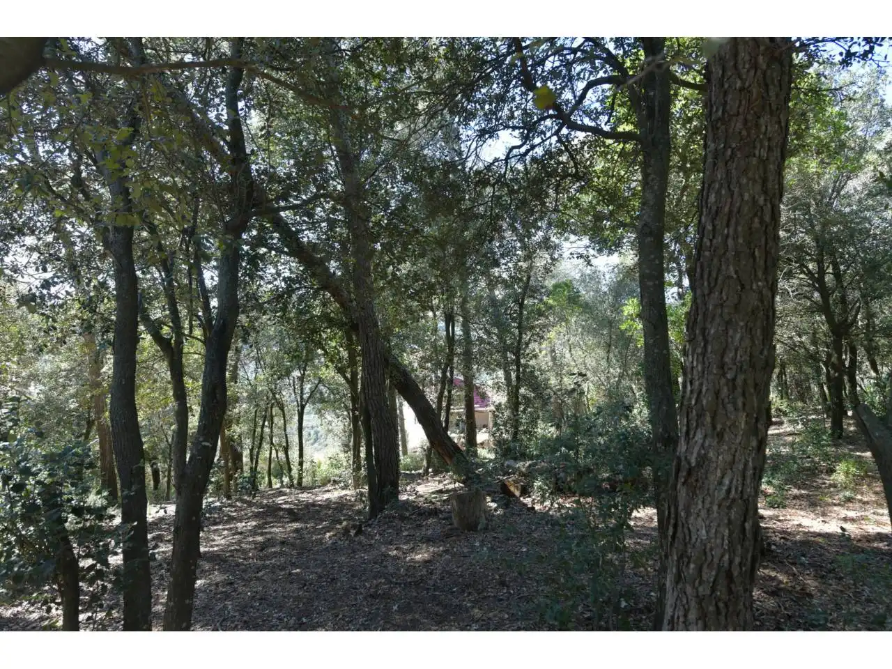 Wohnbaugrundstück zum Verkauf in El Racó - Sant Feliu del Racó, imagen 7