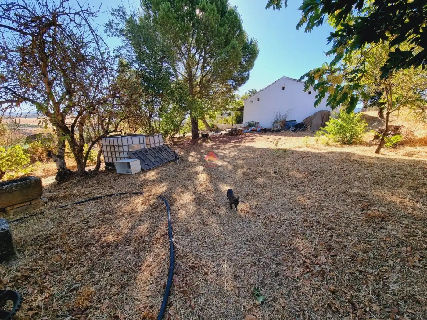 Casa rústica en venta en Casco Histórico, imagen 8