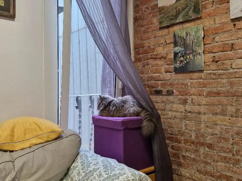 Flat with lift for sale in carrer del Farell 15, imagen 25