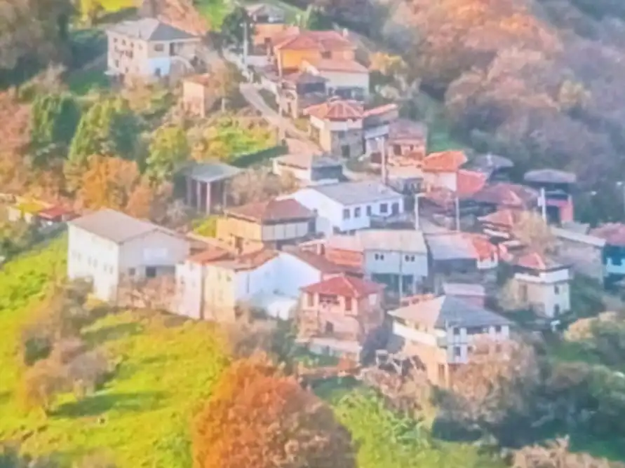 Vista exterior de Casa o xalet en venda en Tineo amb Terrassa