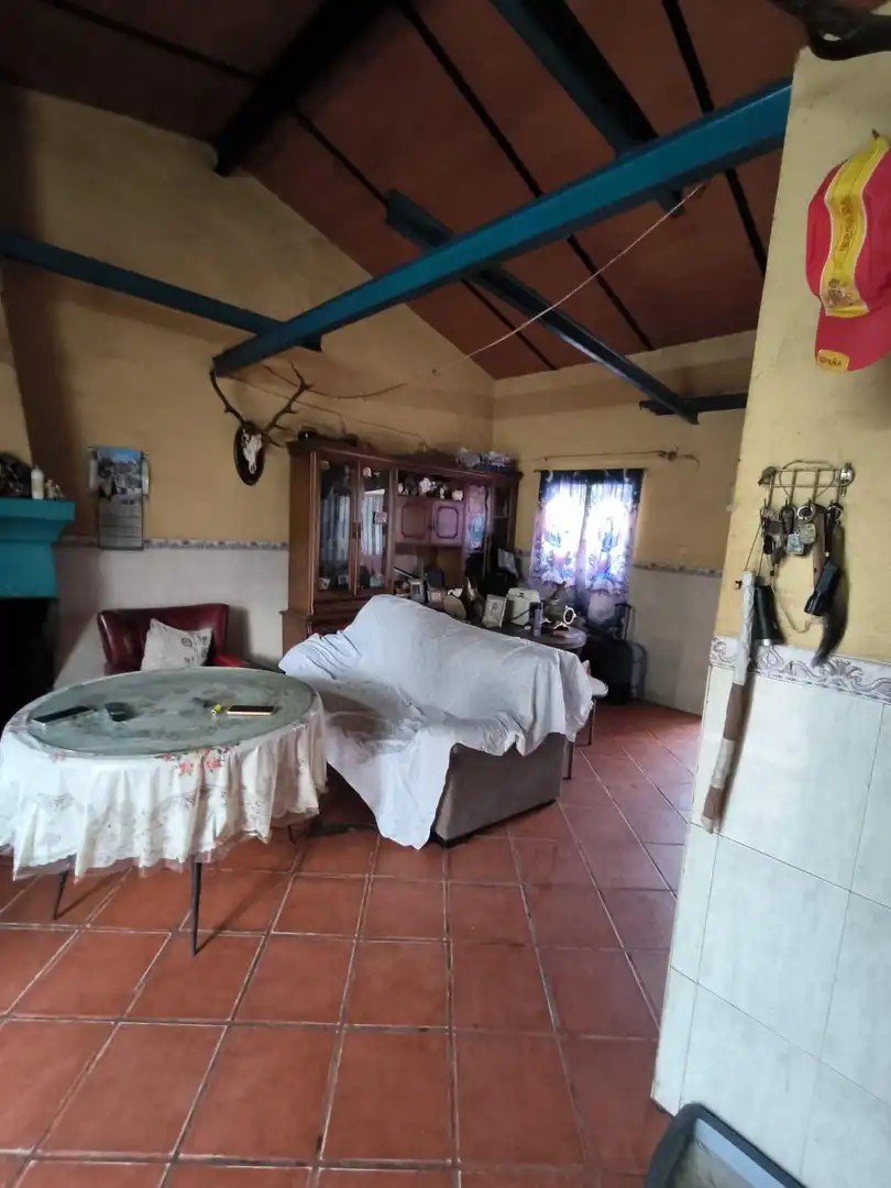 Sala d'estar de Finca rústica en venda en El Viso de San Juan