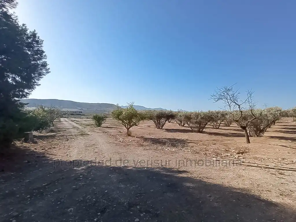 Country homes for sale in Lorca