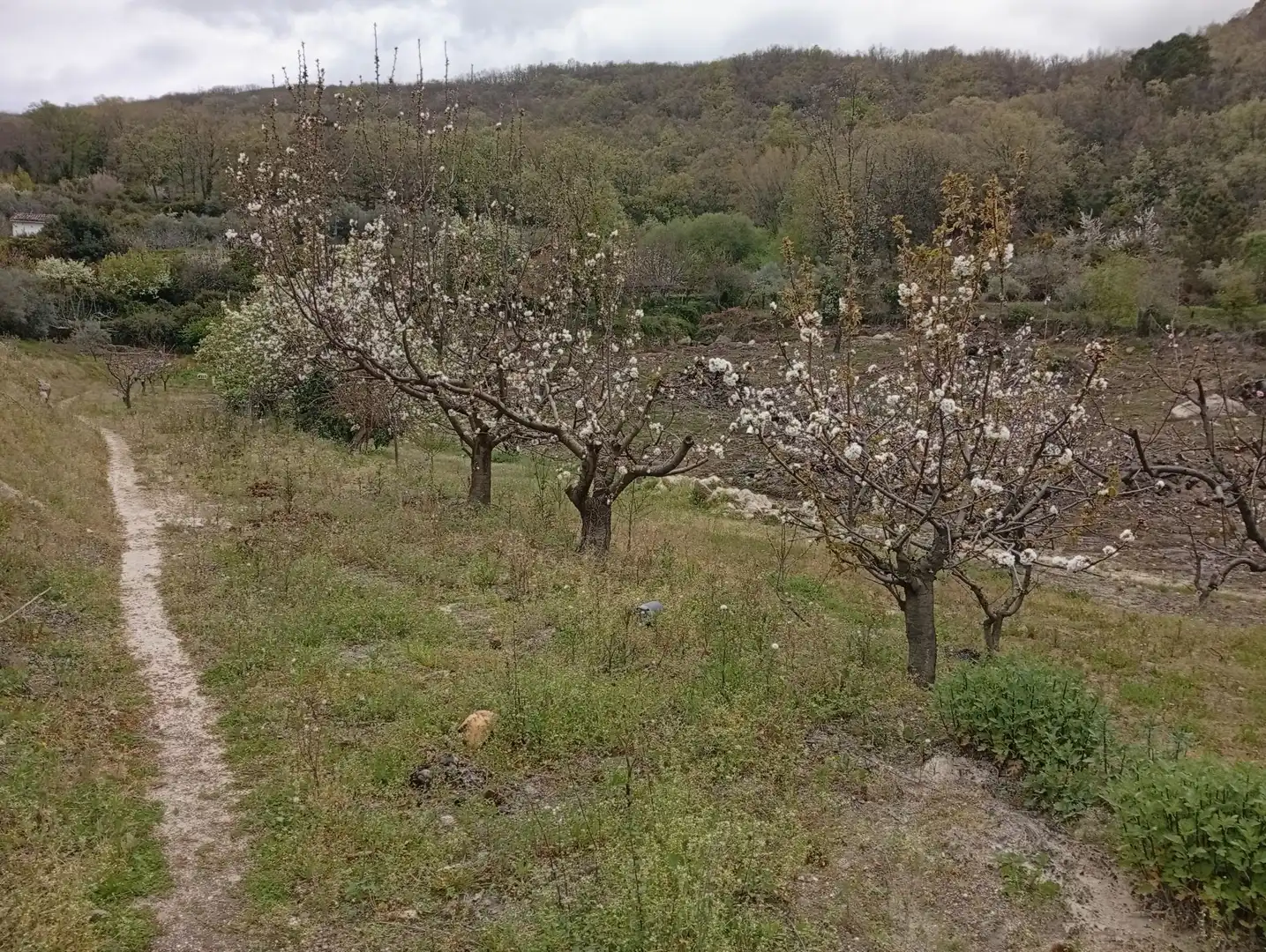 Terreni e lotti in vendita a Villanueva de la Vera, imagen 49