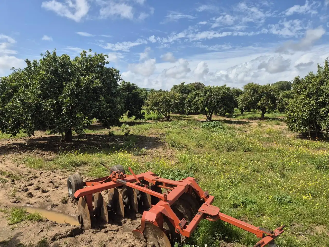 Casa o chalet en venta en Coria del Río