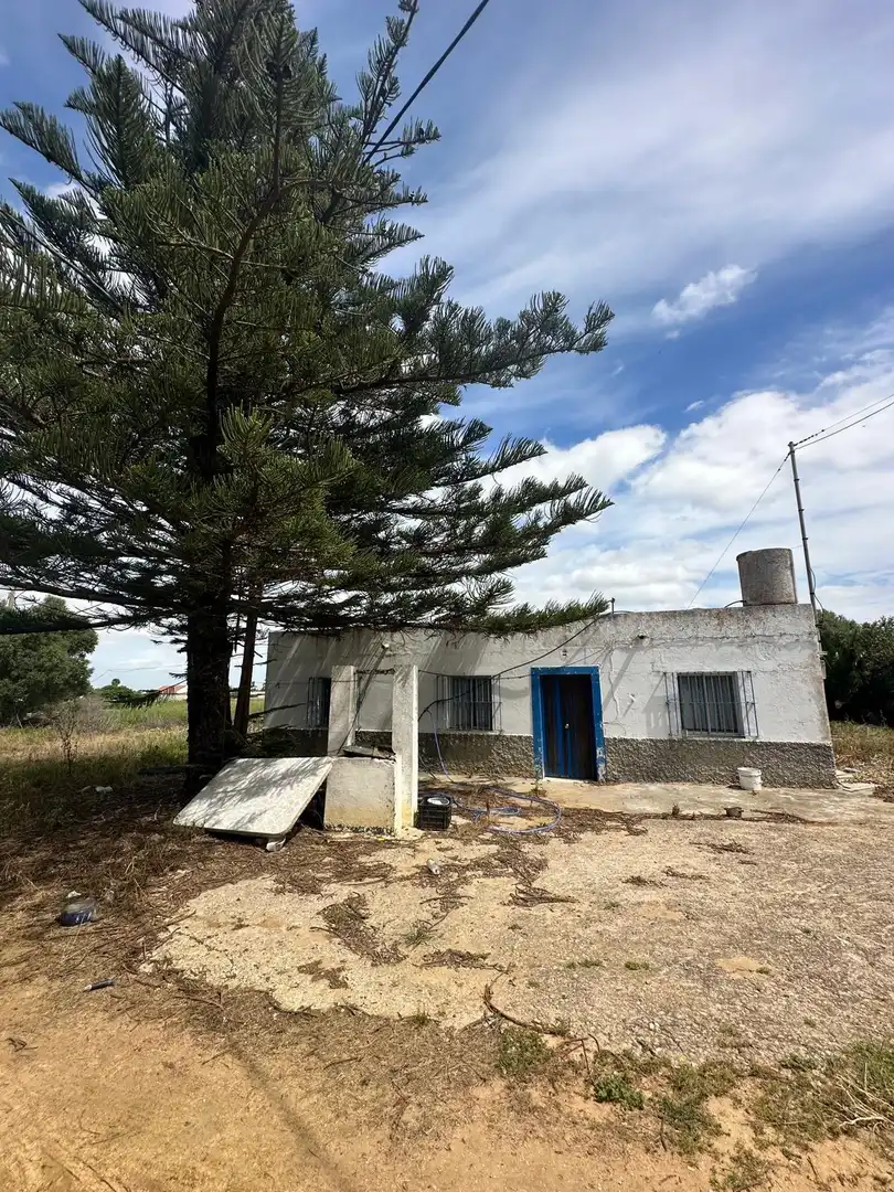 Vista exterior de Finca rústica en venda en Conil de la Frontera