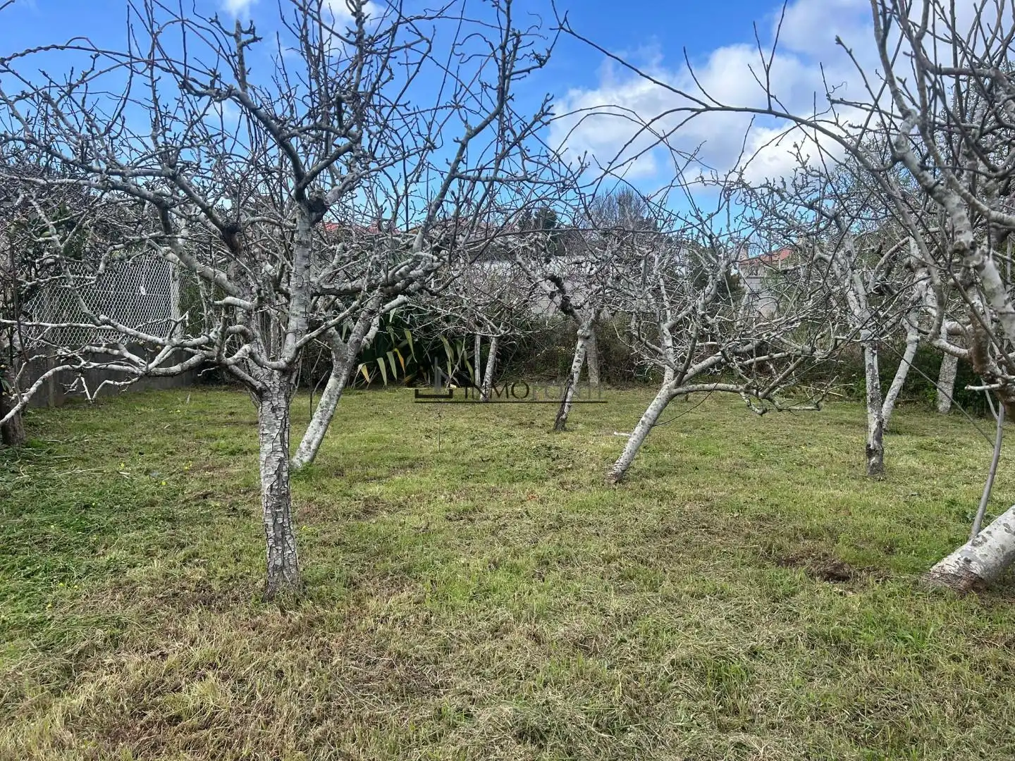 House with terrace for sale in Arra, imagen 50