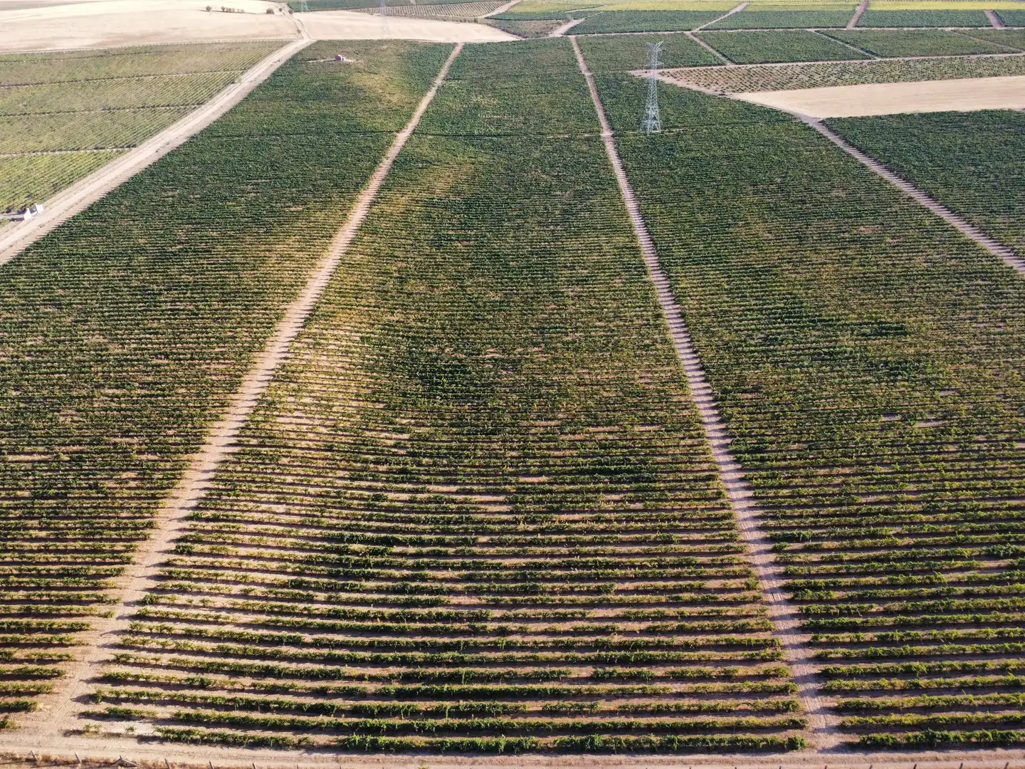Terreno rustico in vendita a Rueda, imagen 17