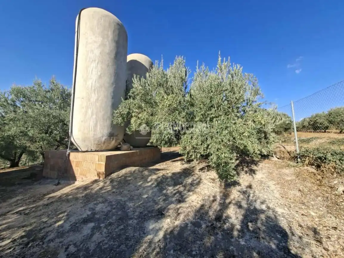 Terreno en venta en Montilla