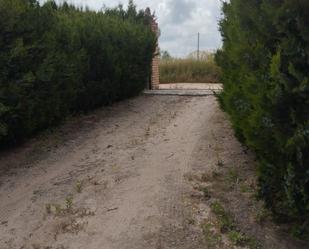 Finca rústica de lloguer a Pilas