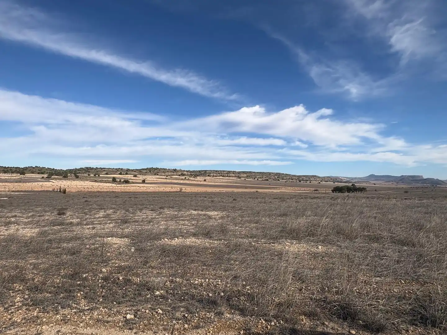 Finca rústica en venta en Ontur