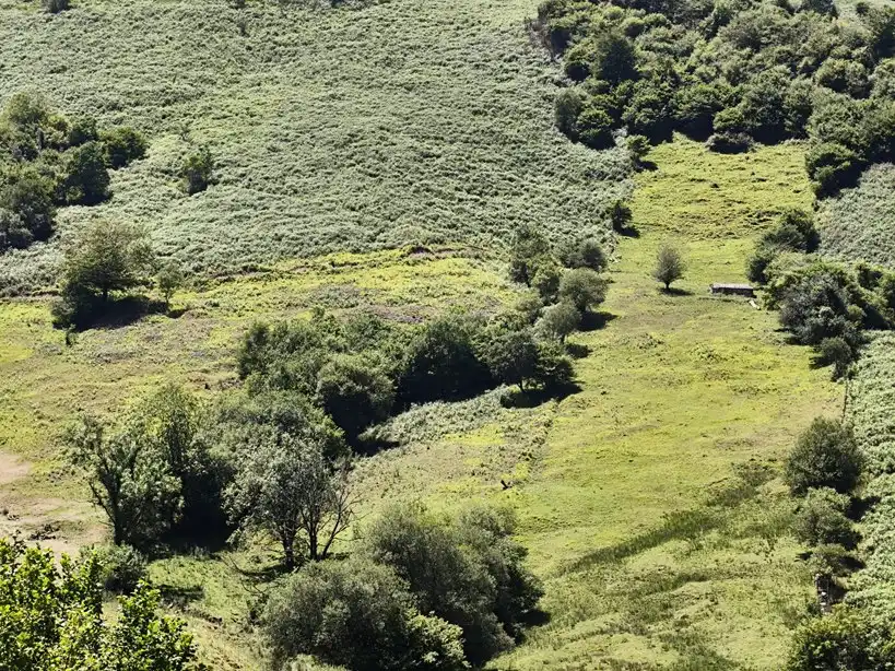 Terreno rustico in vendita a Proaza, imagen 40