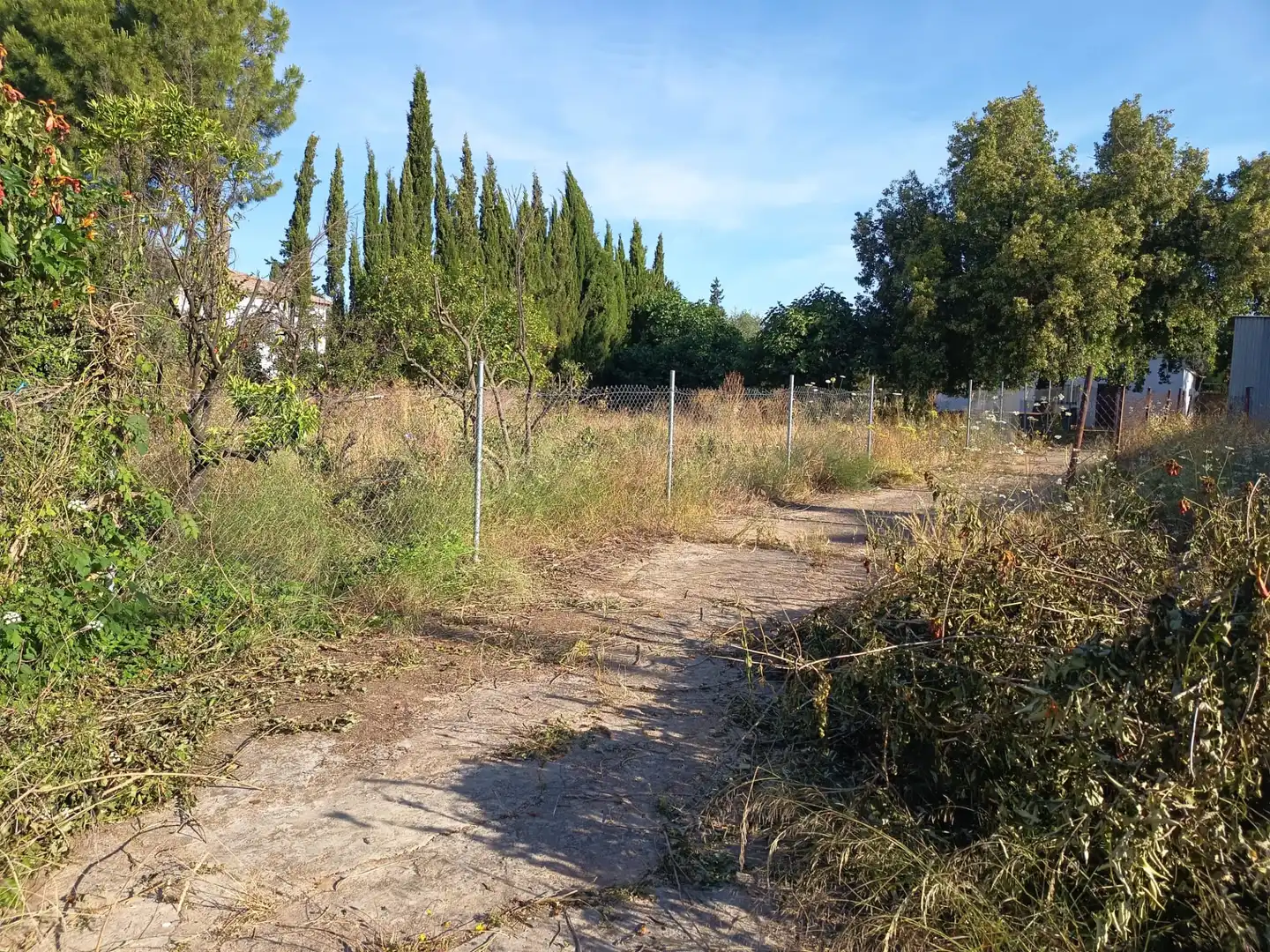 Casa o chalet en venta en Palomares del Río