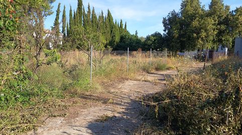 Foto 3 de Casa o chalet en venta en Calle Triana, Palomares del Río, Sevilla