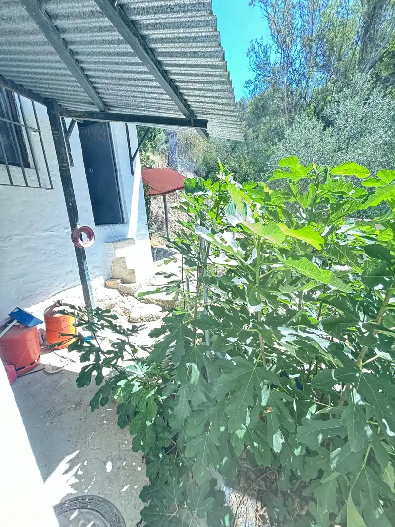 Garden of Houses for sale in El Bosque  with Private garden, Terrace and Storage room