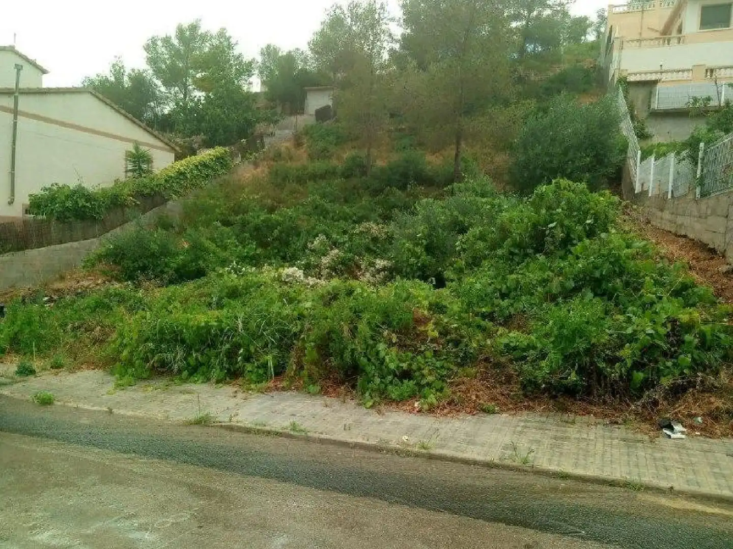 Terreni e lotti in vendita a Castellet i la Gornal, imagen 8
