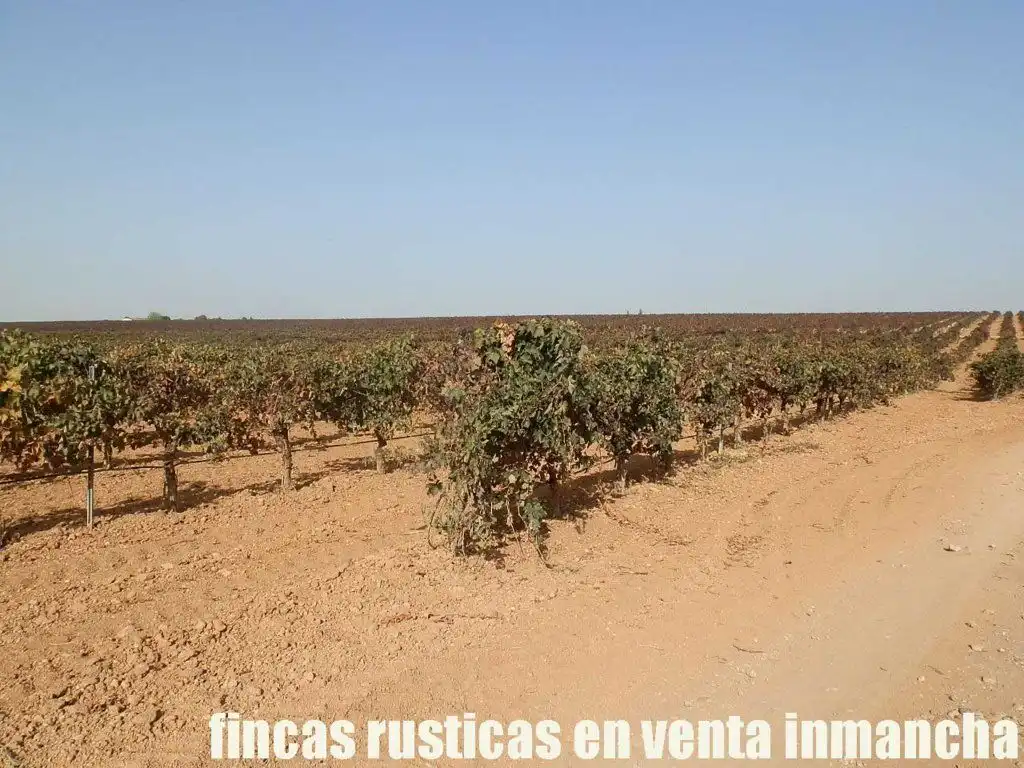 Terrenys i solars en venda a Almagro, imagen 19