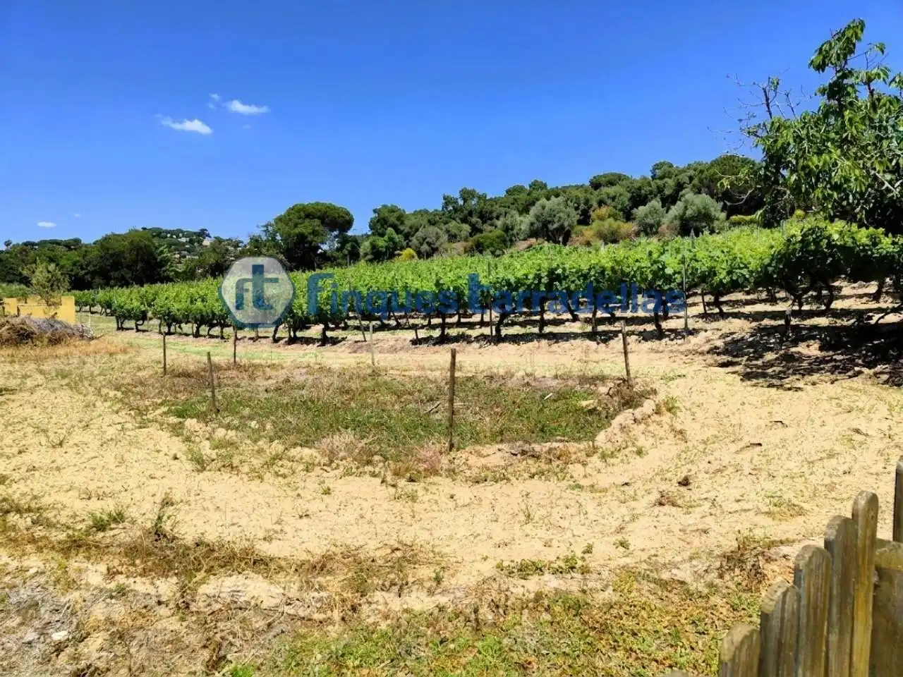 Rural land for sale in Mas Mora - Sant Daniel, imagen 60