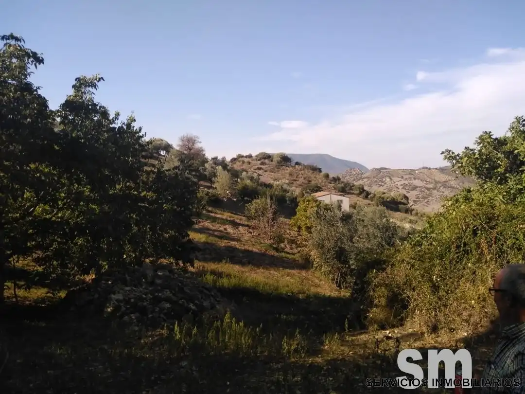 Terreno en venta en Zahara