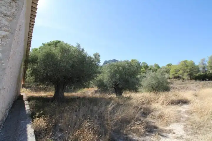 Villa con giardino in vendita a Las Tiesas, imagen 38