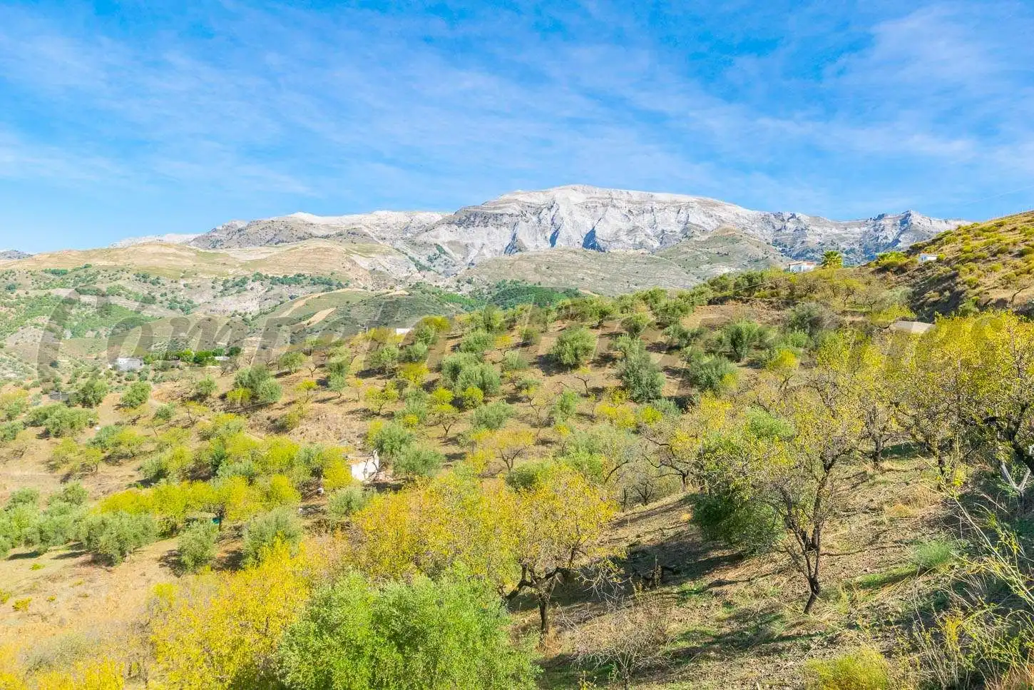 Terreno rústico en venta en Sedella, imagen 4
