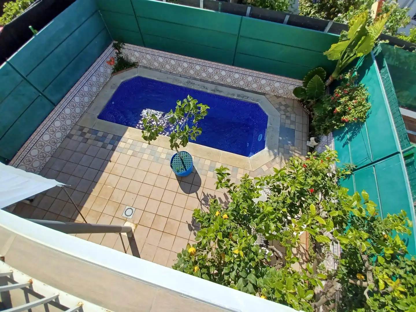 Piscina de Casa o xalet en venda en Pineda de Mar amb Aire condicionat, Calefacció i Terrassa