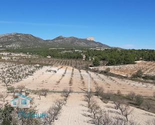 Casa o xalet en venda en Lorca amb Aire condicionat, Calefacció i Jardí privat