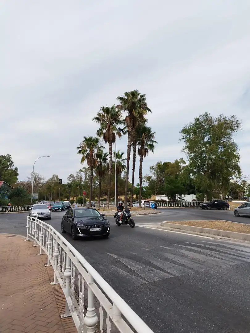 Terrenys i solars en venda a El Pinar- Palacio de Congresos, imagen 10