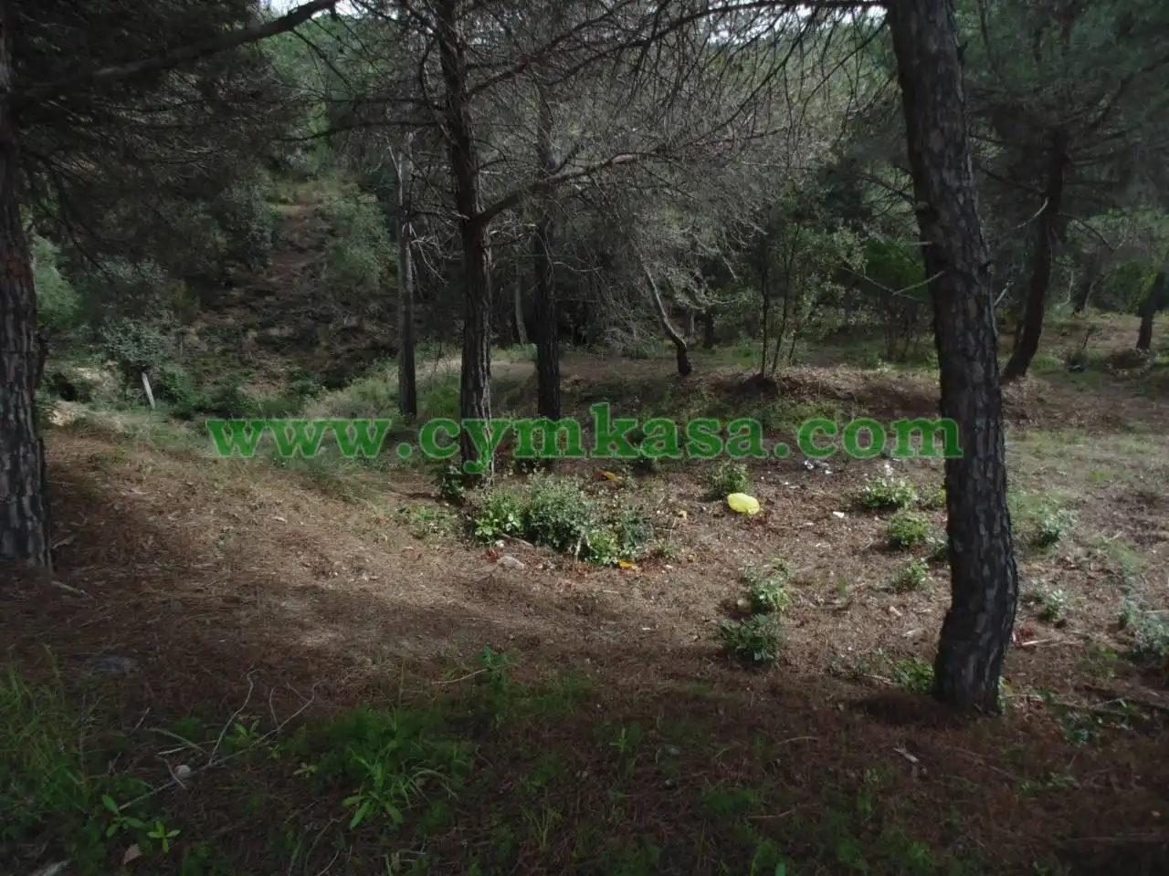 Terreno residencial en venta en Mas Mora - Sant Daniel, imagen 3