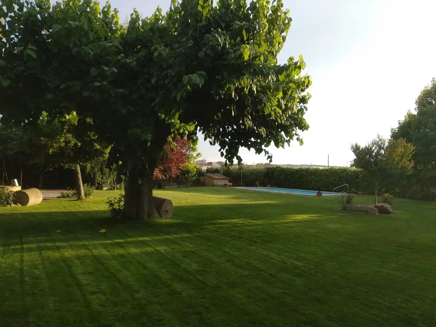 Jardí de Casa o xalet en venda en Vilanova de Bellpuig amb Calefacció, Jardí privat i Piscina