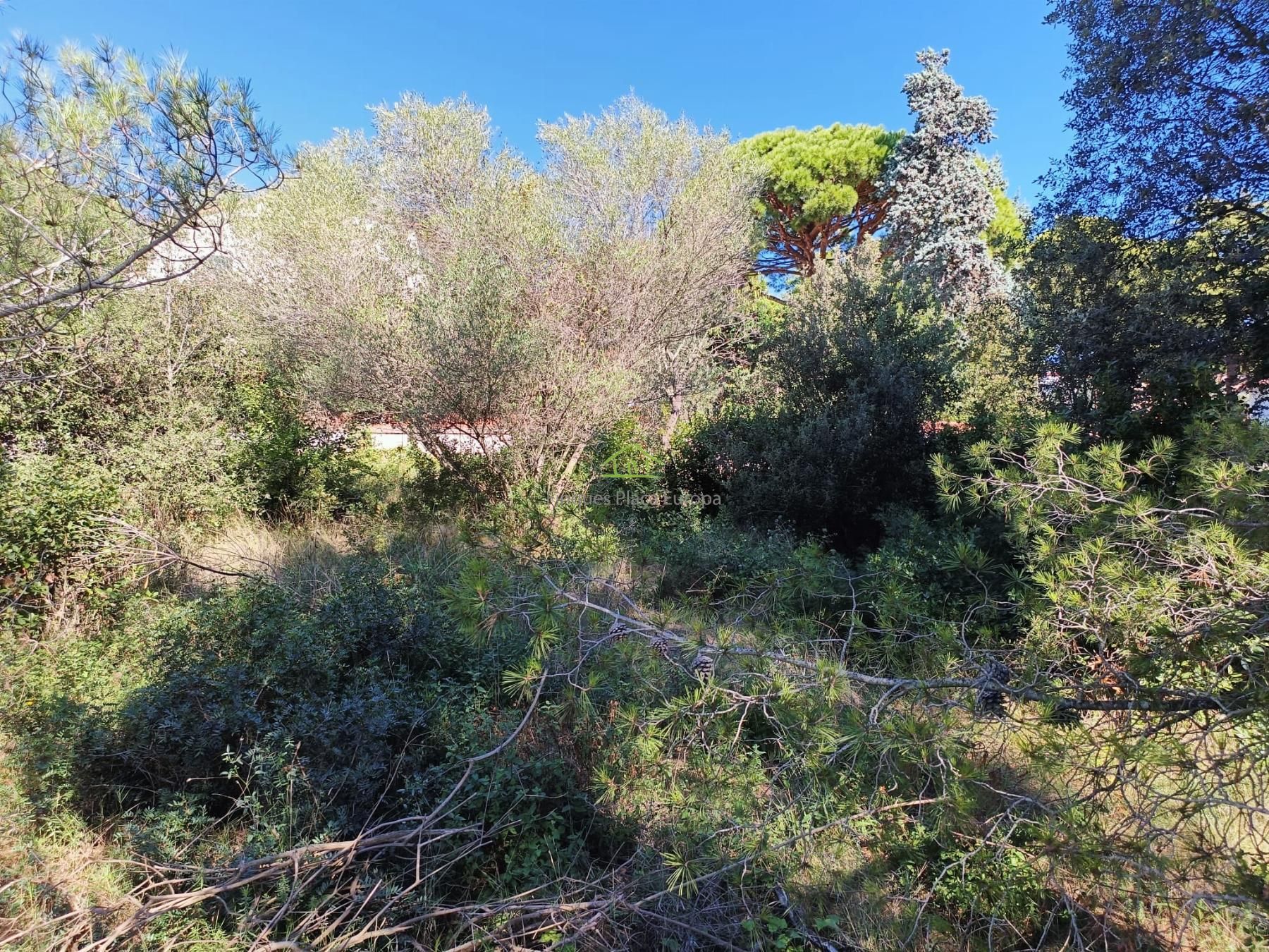 Residencial en venda a Los Pinos - Politur