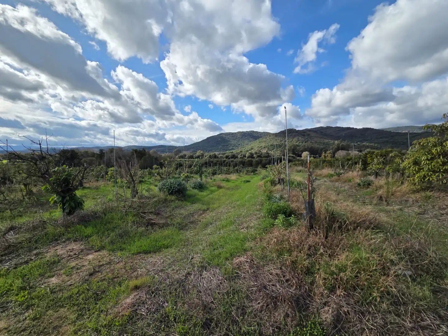 Rustikales Grundstück zum Verkauf in Castellar de la Frontera, imagen 3
