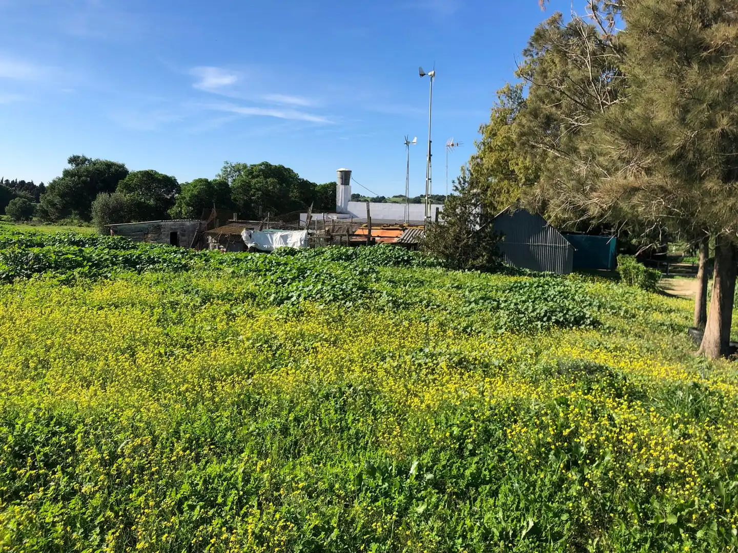 Country house for sale in Vejer, imagen 5