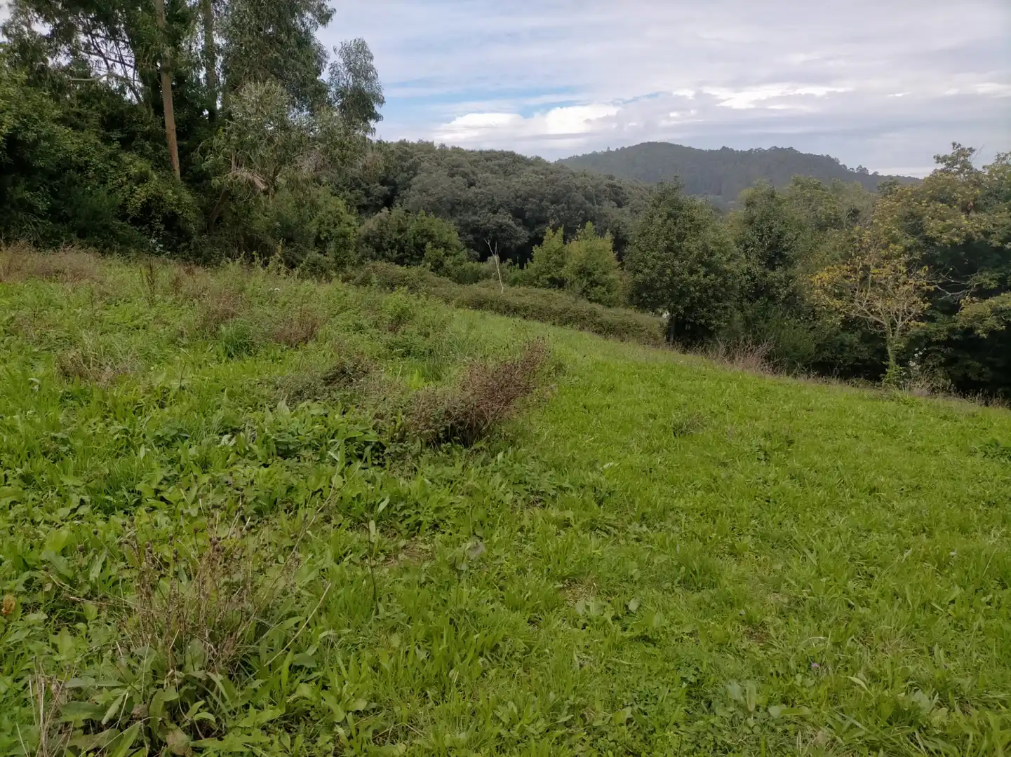 Residencial en venda en Camargo