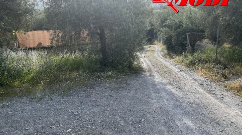 Finca rústica con 575 m2 según catastro ,lindando a camino y cerquita de la carretera Nacional , sembrada de olivos y con acceso c, imatge 2