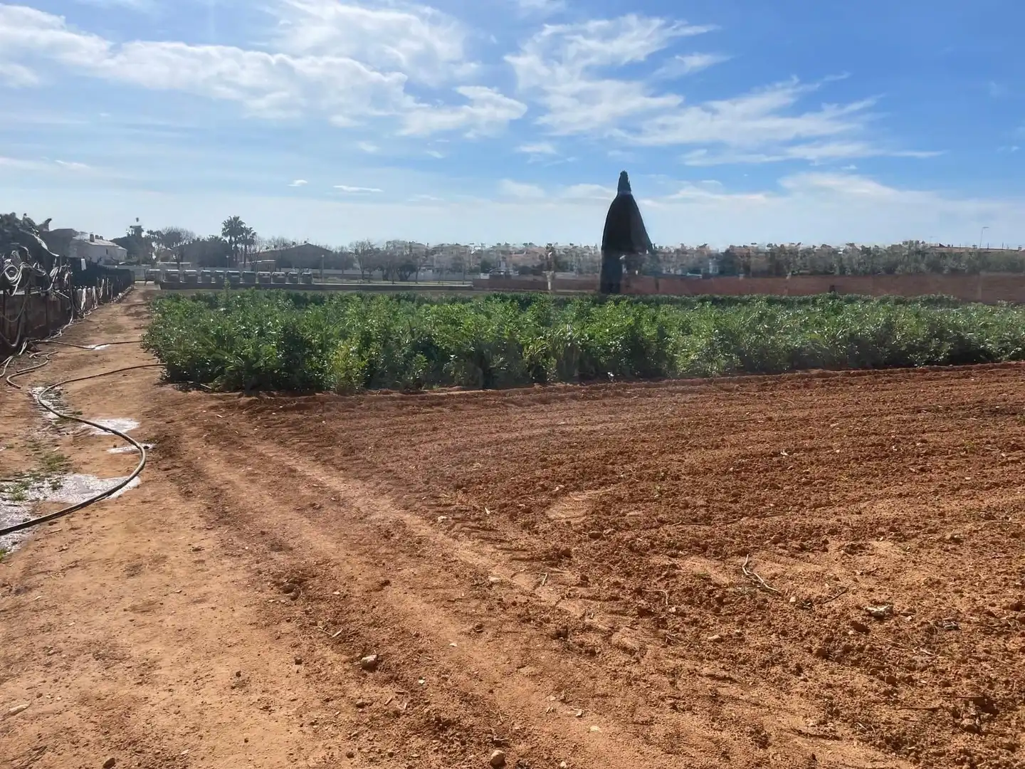 Residential land for sale in Marítima Sud, imagen 12