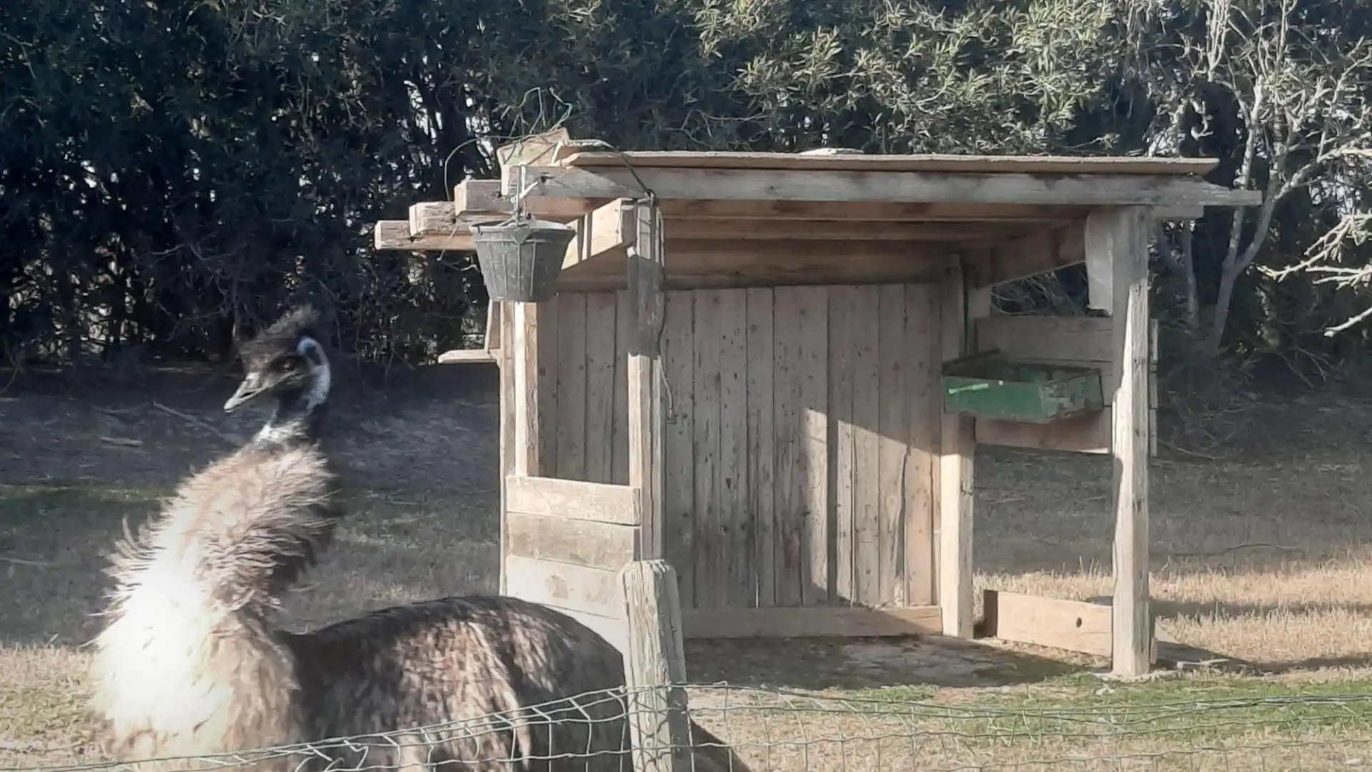Maison rustique à vendre à Deltebre, imagen 24