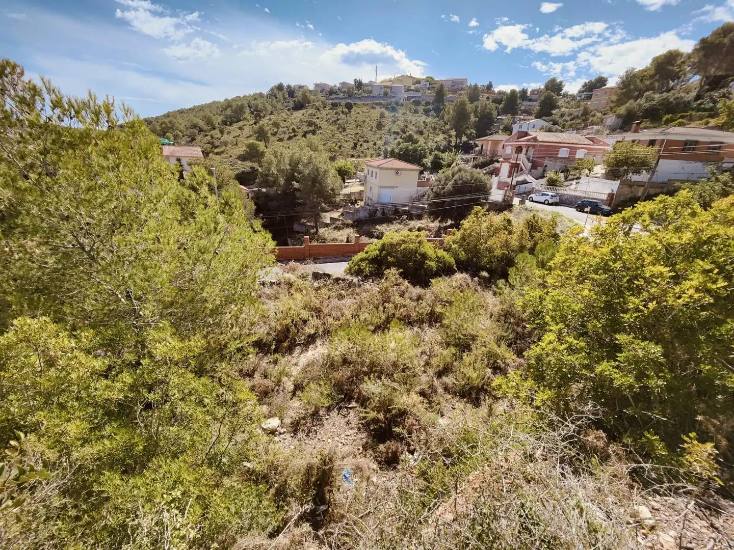 Grundstücke und Bauplätze zum Verkauf in OLIVO-ELS ROSERS 1, imagen 4