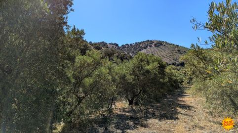 Foto 5 de Finca rústica en venta en Vélez-Rubio, Almería