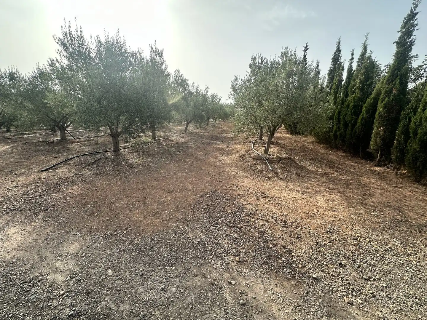 Casa o chalet en venta en Sot de Ferrer con Calefacción, Jardín privado y Terraza