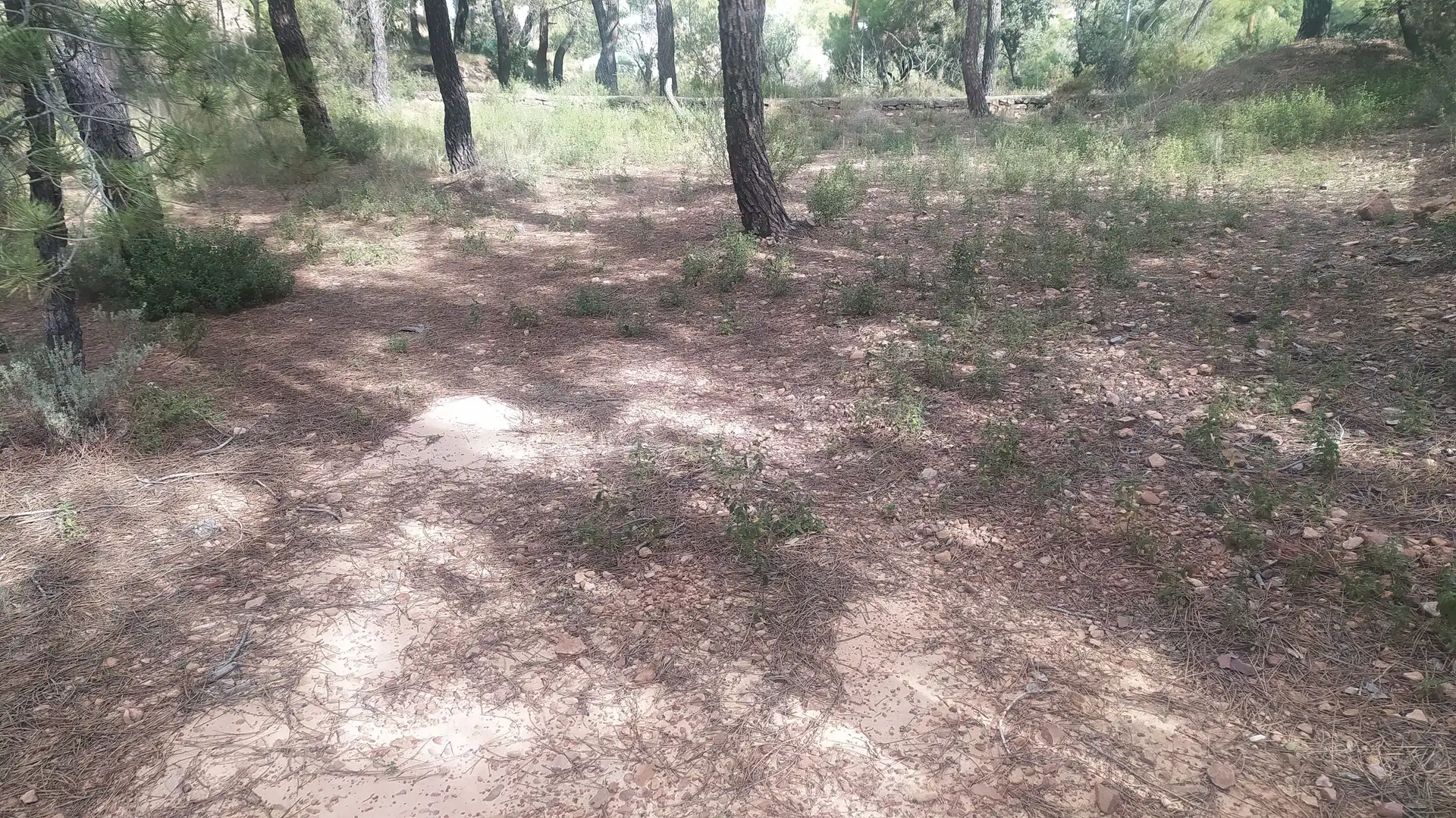 Residential land for sale in Gátova, imagen 2