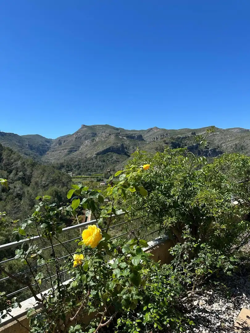 Vista exterior de Casa o xalet en venda en Ròtova amb Aire condicionat, Calefacció i Jardí privat