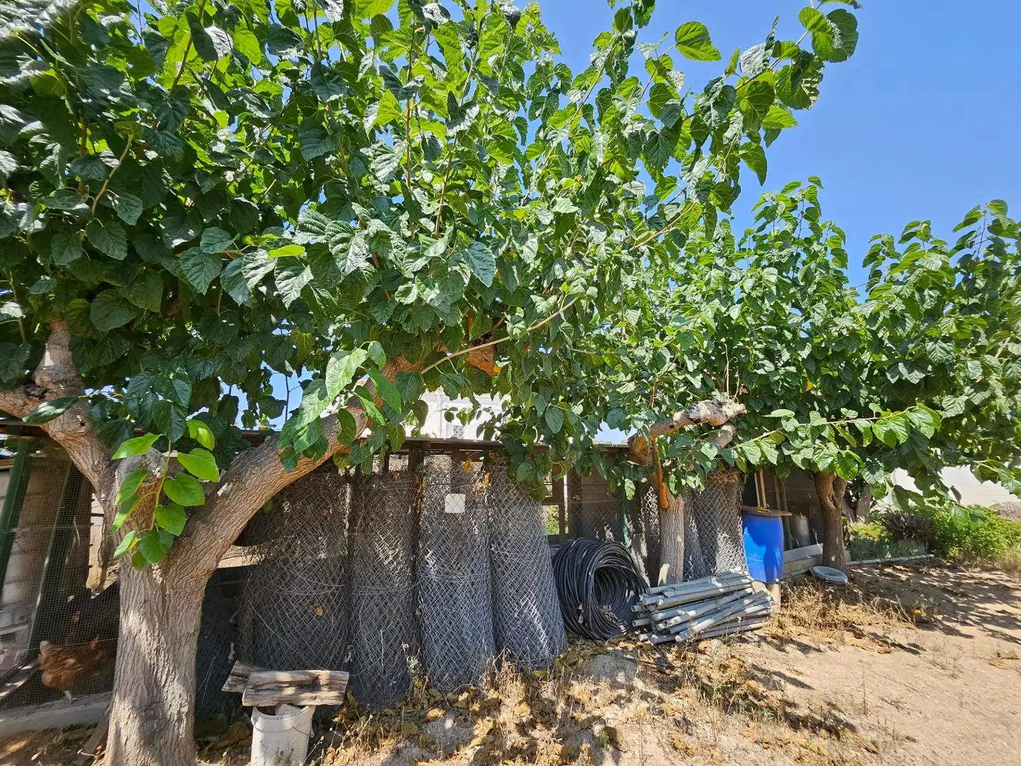 Landhaus mit Garten zum Verkauf in Urbanitzacions, imagen 7
