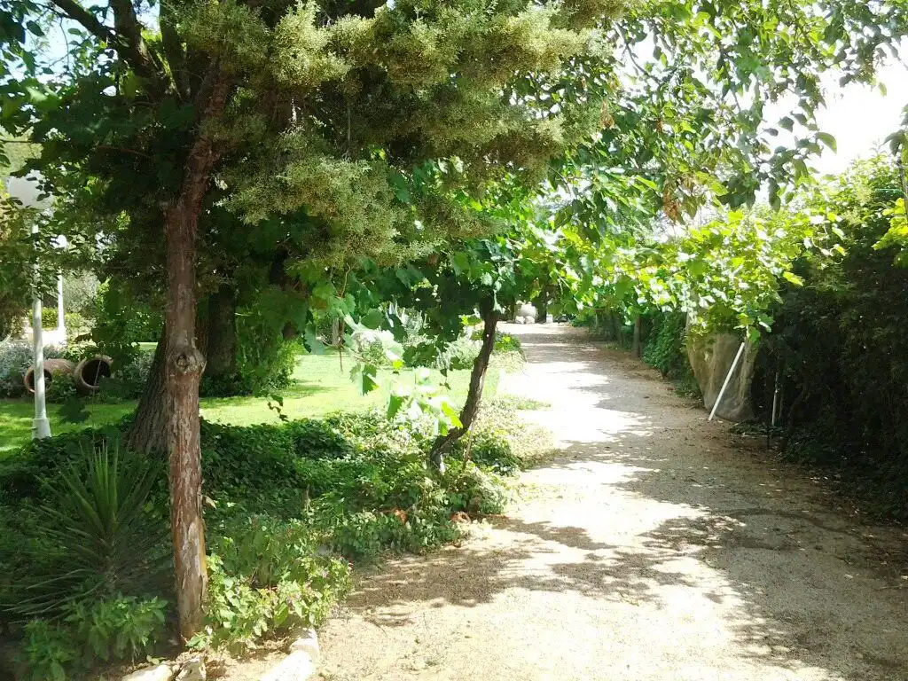 Chalet en venta en Valdepeñas, imagen 11
