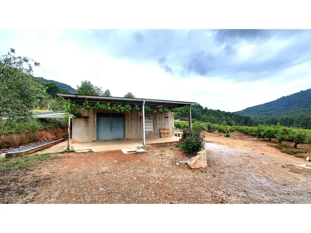 Rural land for sale in 30, imagen 6